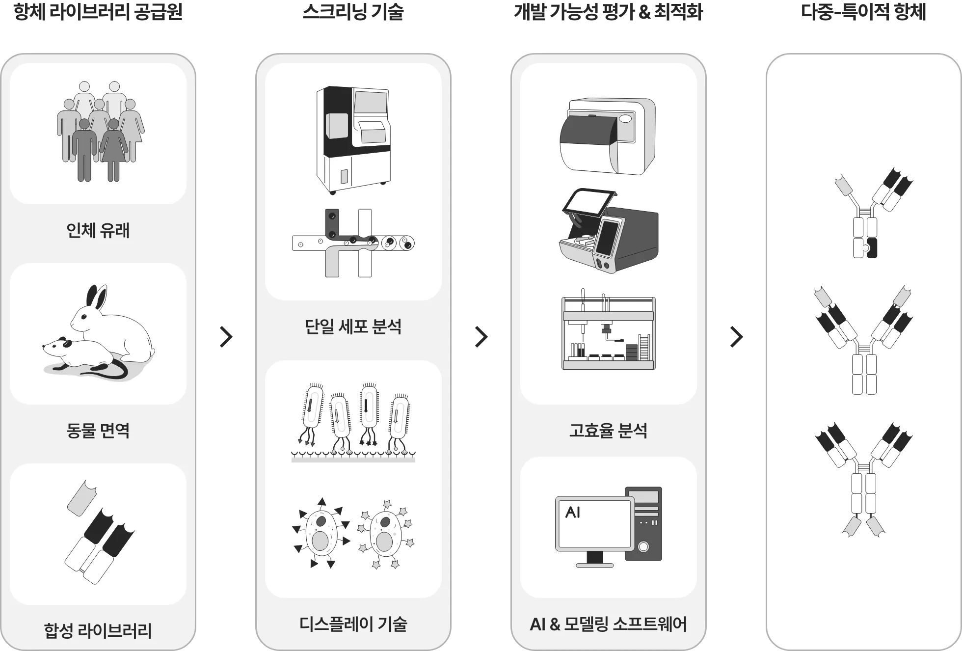 [항체 라이브러리 공급원] 인체 유래/동물 면역/합성 라이브러리 -> [스크리닝 기술] 단일 세포 분석, 디스플레이 기술 -> [개발 가능성 평가 & 최적화] 고효율 분석, AI & 모델링 소프트웨어 -> [다중-특이적 항체]