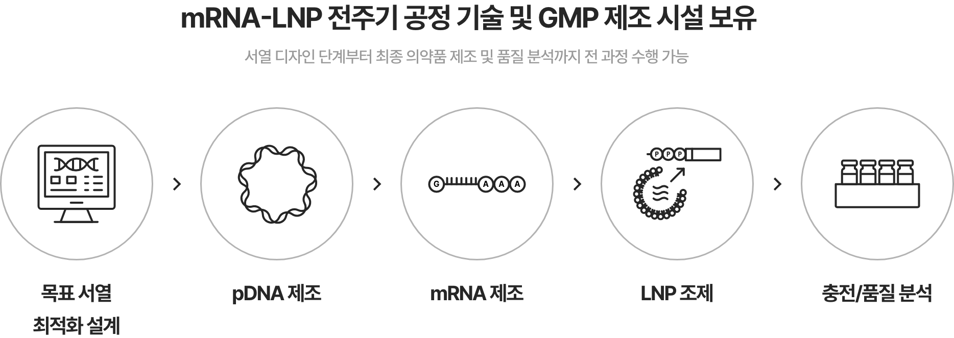 <GCBP 통합 mRNA 제조 서비스> 서열 디자인 단계부터 최종 의약품 제조 및 품질 분석에 이르는 전 과정 제공 01. 목표 서열 최적화 설계 02. pDNA 제조 03. mRNA 제조 04. LNP 조제 05. 충전/품질 분석