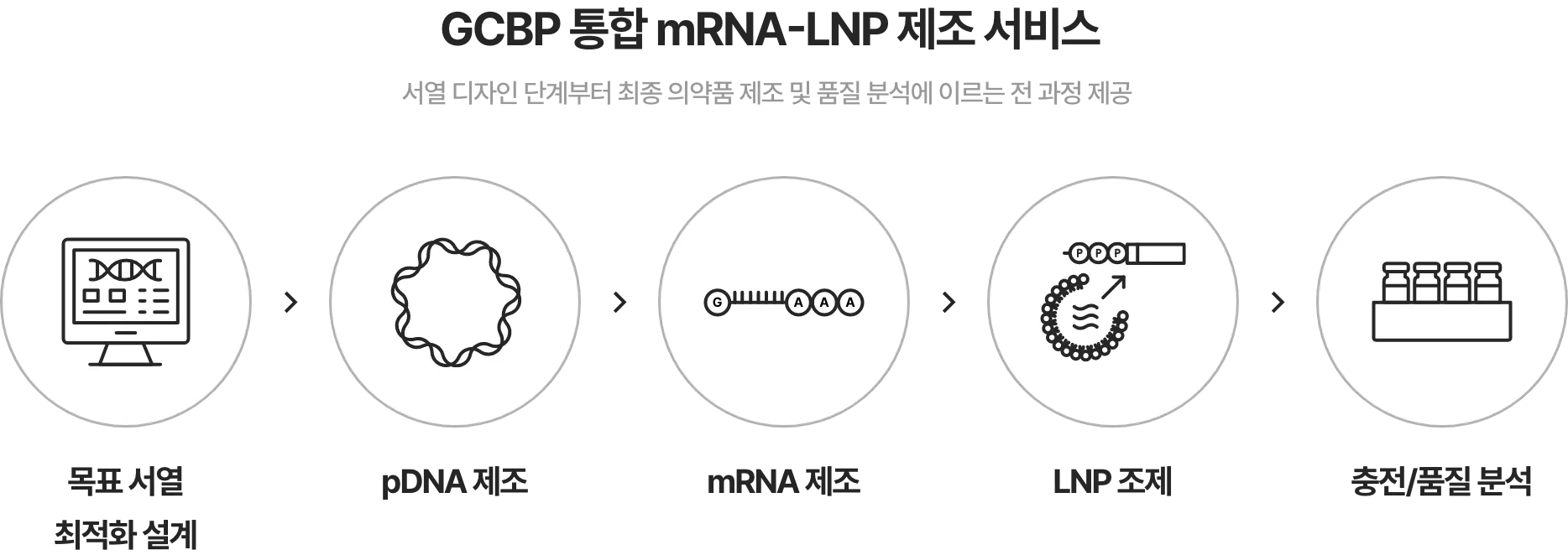 <GCBP 통합 mRNA 제조 서비스> 서열 디자인 단계부터 최종 의약품 제조 및 품질 분석에 이르는 전 과정 제공 01. 목표 서열 최적화 설계 02. pDNA 제조 03. mRNA 제조 04. LNP 조제 05. 충전/품질 분석